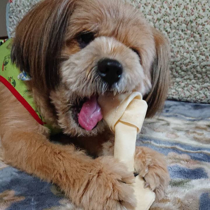 07d89280 4311 4612 9c11 9b4bca1ec5de 1585636732695