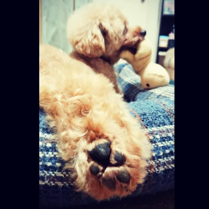 07d967b9 352a 4652 9156 6fe92d27f3f5 1598023935554