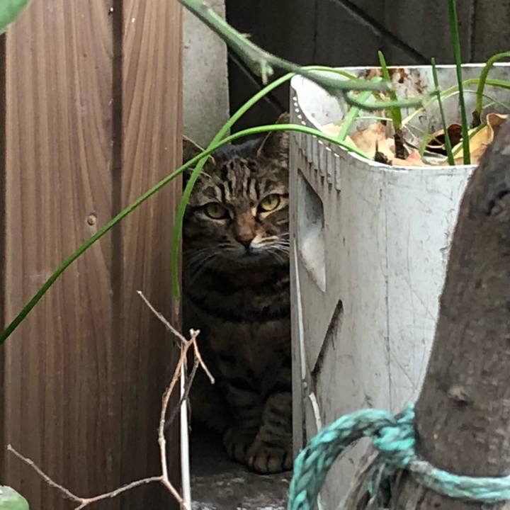 07d99777 b1fc 4594 bd9e 1fb528276d3c 1515494447854