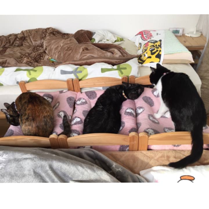 07d9cb5c 7e1c 47f8 a10d f363eef82845 1542779080645