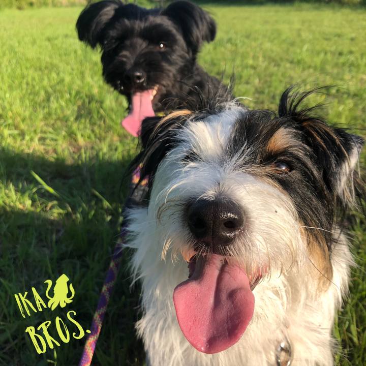 07da1508 662e 44d5 9b65 7e08db043d69 1557579604755