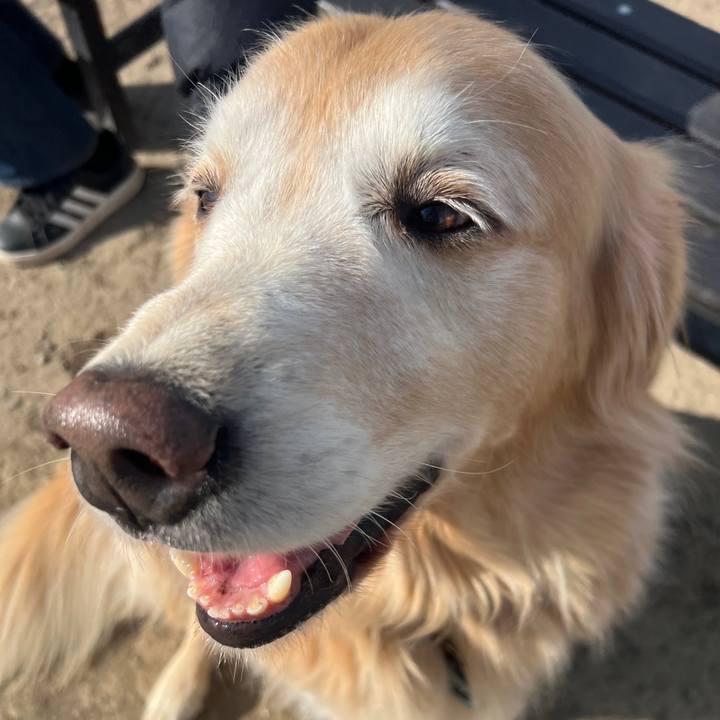 07da88f2 ff84 4044 b19b 905e0beb12de 1736672224472