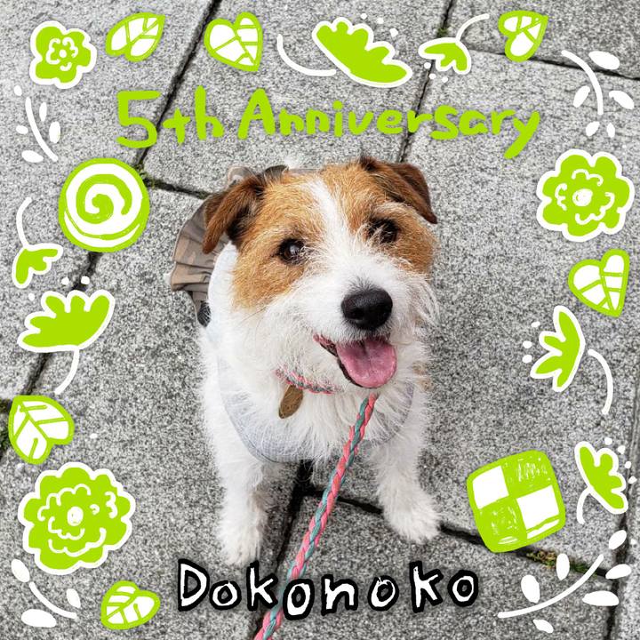 07dae608 a486 47ad 8ae7 71c44bf19877 1622887509787