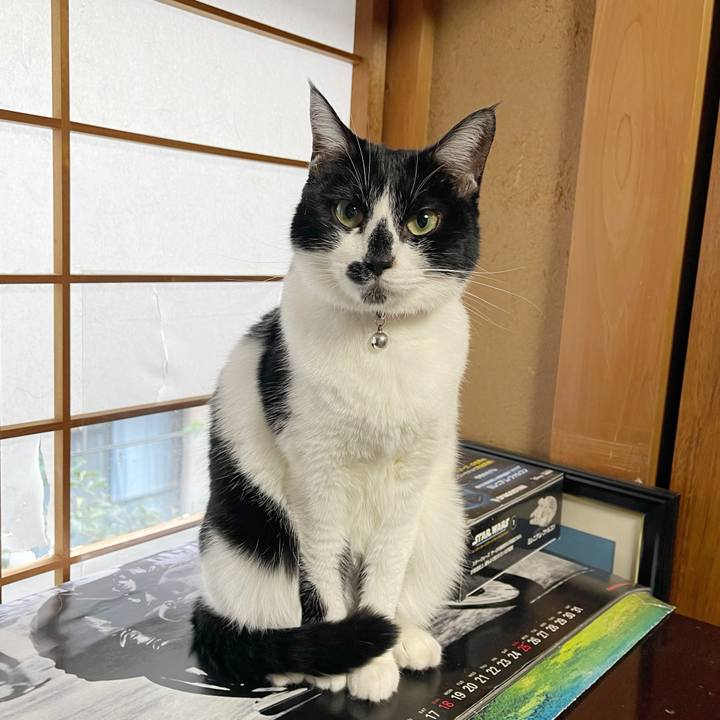 07daf610 2407 43fd b1cc 5ecc92413015 1765234215554