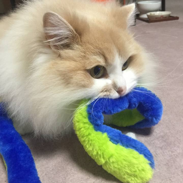 07dafab1 3152 4094 9493 6b370b3c7401 1521975945366