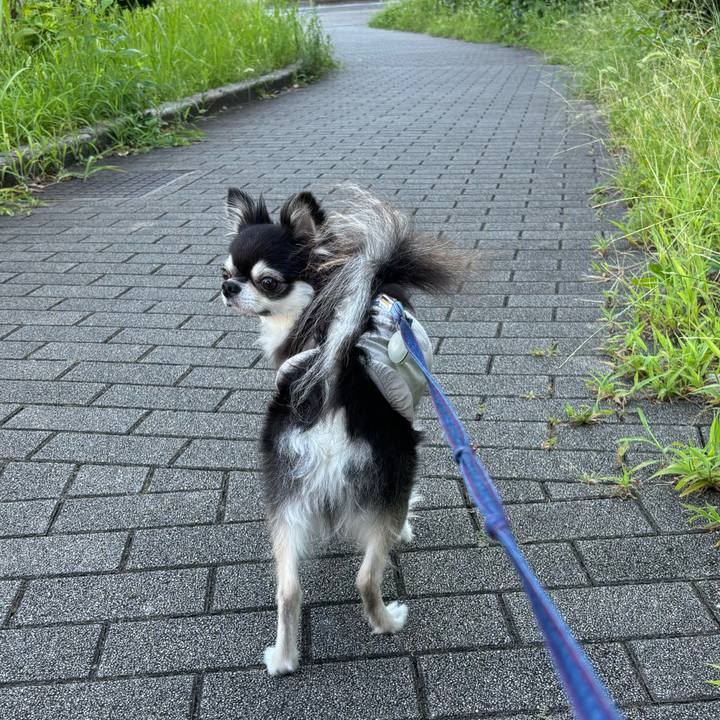 07db09a1 cddc 4953 9b2e b0ded1d339f2 1723391280003