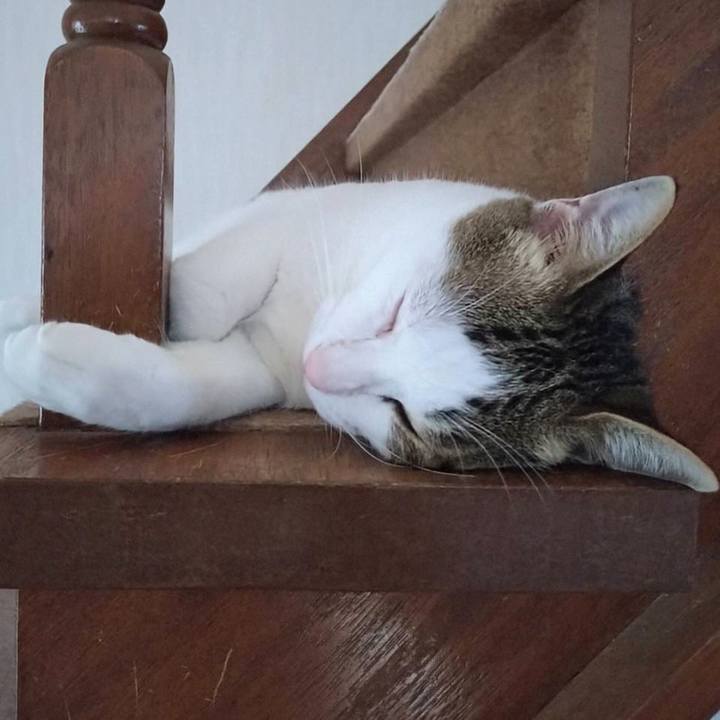 07db1ed2 ea01 45af 964a eeb394e87d5b 1725015490581