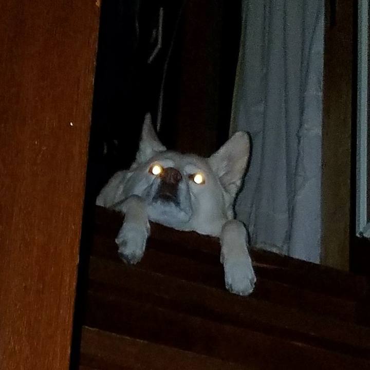 07db20ac 32af 4900 bf53 731a69b76693 1525451332943