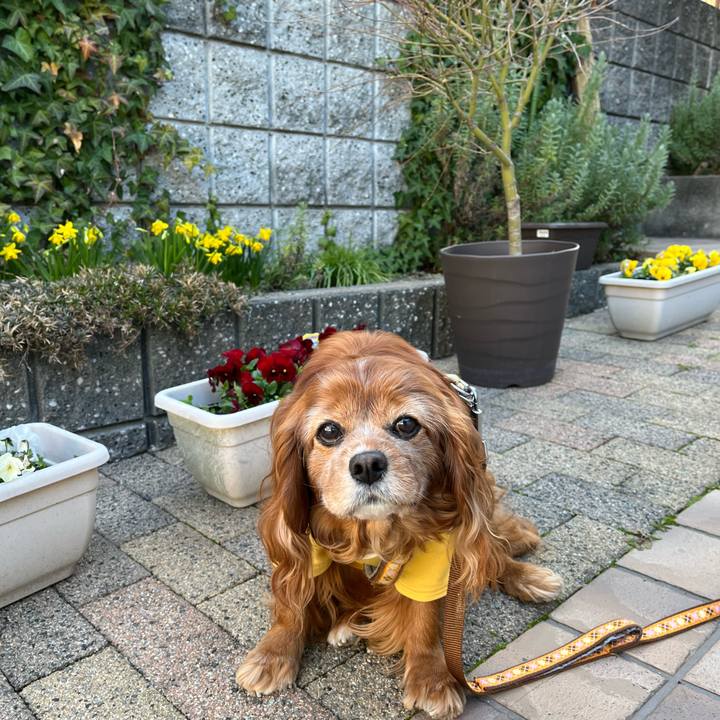 07db3640 bb3f 4a10 bf4b e1d275563bfe 1773014910080