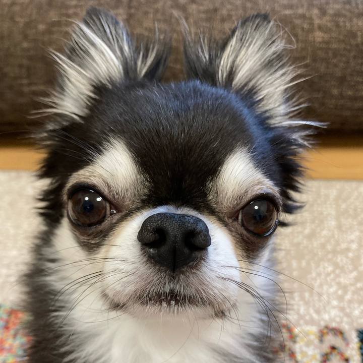 07db36ff 88e7 440b 8aa4 aef8fb3d914f 1698965998231