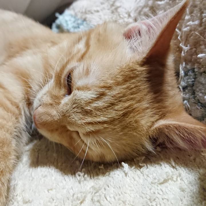 07db8464 3422 4aea a5e6 088ee820417b 1633264270599