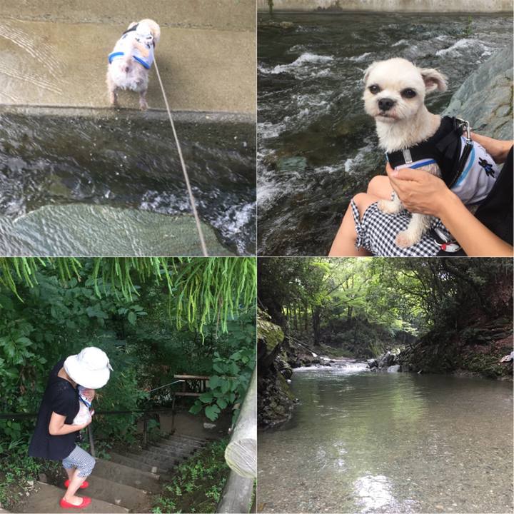 07dbbb21 d108 4afc 9b75 260f3d8191fb 1534077827675