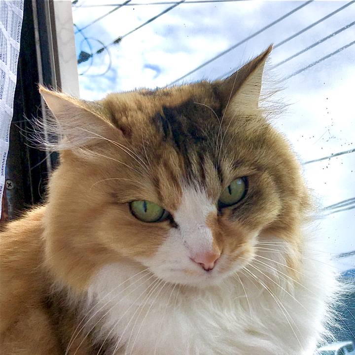 07dbe008 f2f7 4bb3 88c1 487e17e23724 1582787419665