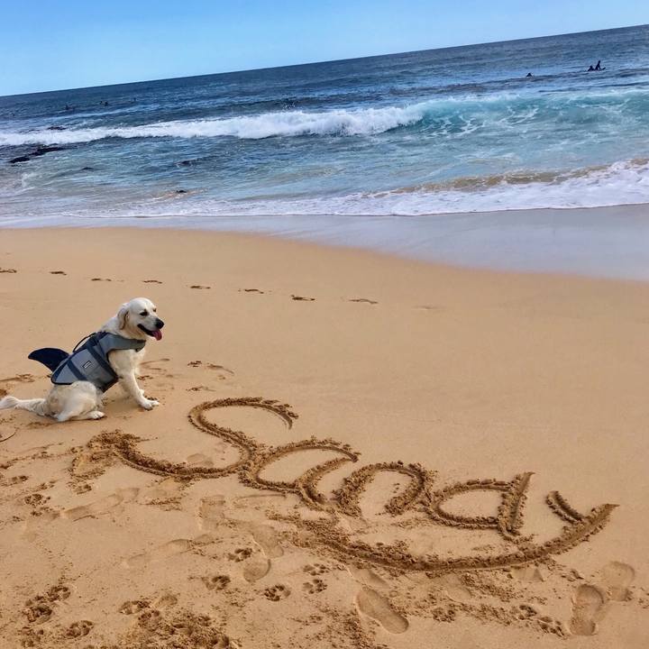 07dbe5d8 6ac1 461d 96cc 944d704a5f7e 1553052279442