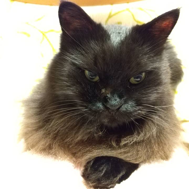 07dbf7fd 6794 40ad bf06 edc69d4f24ac 1602498737162