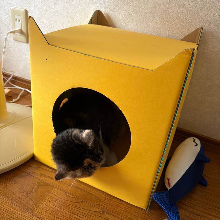 07dc090a 08c7 44df bdbb 49c9e81874b6 1760839796887