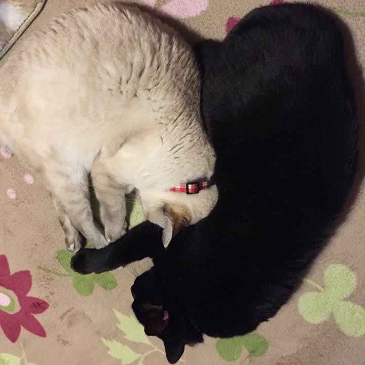 07dc2036 8604 464a 9c47 52cb54a78134 1542630361509