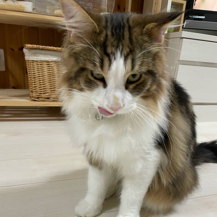 07dc2162 5df1 4484 9aa7 ca30f18d2afa 1643029188905