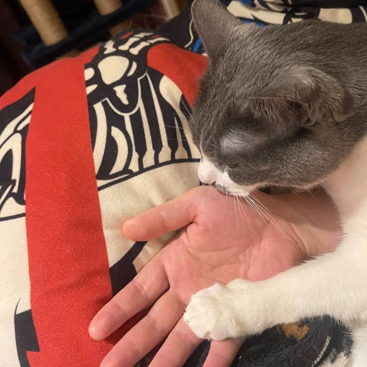 07dc3f86 7f15 4b09 8799 d64dbc505b1a 1746365434093