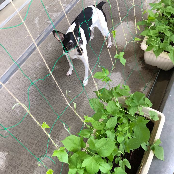 07dc63b8 91ce 403c 9c91 8d8b0530ddf9 1528759538677