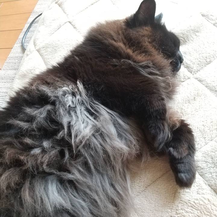 07dc6486 ab3b 4bed 880c 99683ce0e0b5 1652939017213