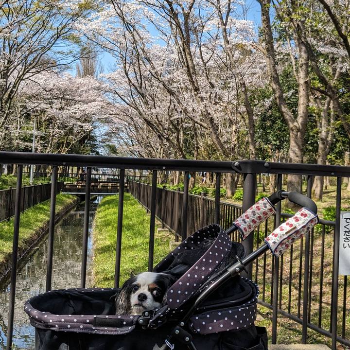 07dc7032 1c28 4e9c 9021 0c8384079782 1713324399566