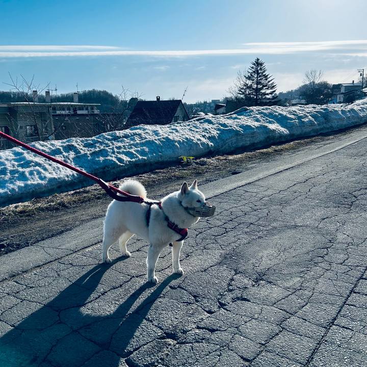 07dcb20e 2736 489c 97e2 c607bf436aa2 1712269859852