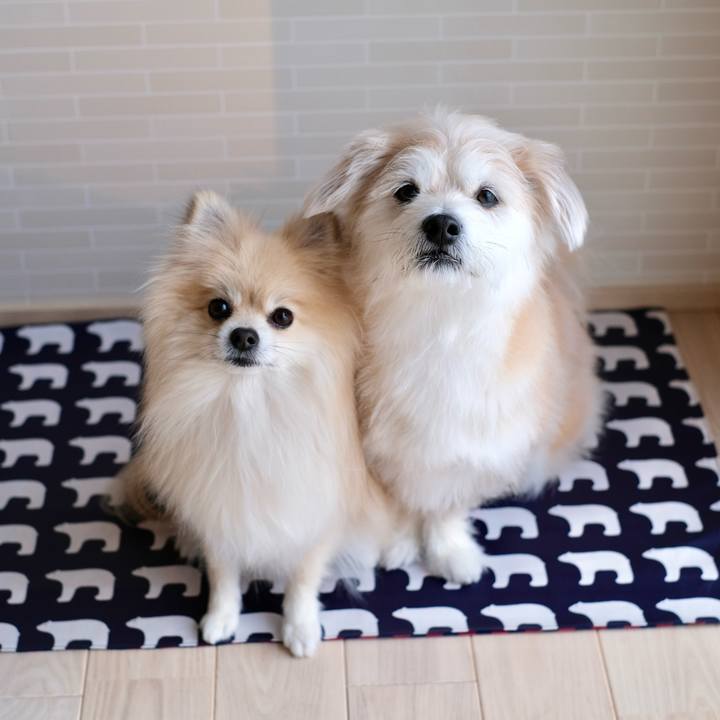 07dcdb83 f22c 42ff a036 5fa8238de19b 1771108571319