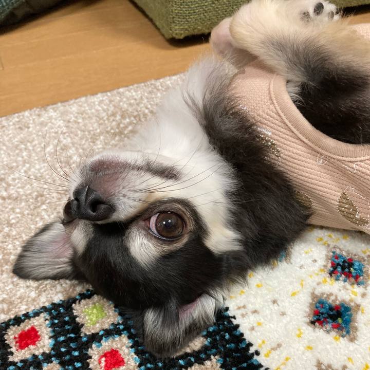 07dcf1b7 801e 4bfb aa1f 5dd6b966c3f8 1683127213399