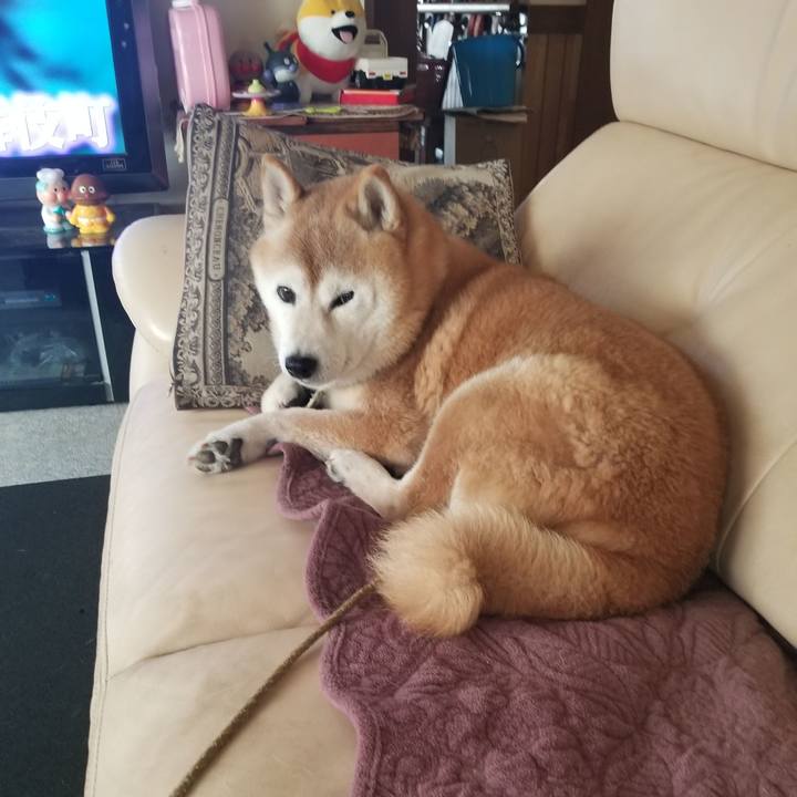 07dd0d15 e22b 45d0 8604 256980aac715 1699226116432