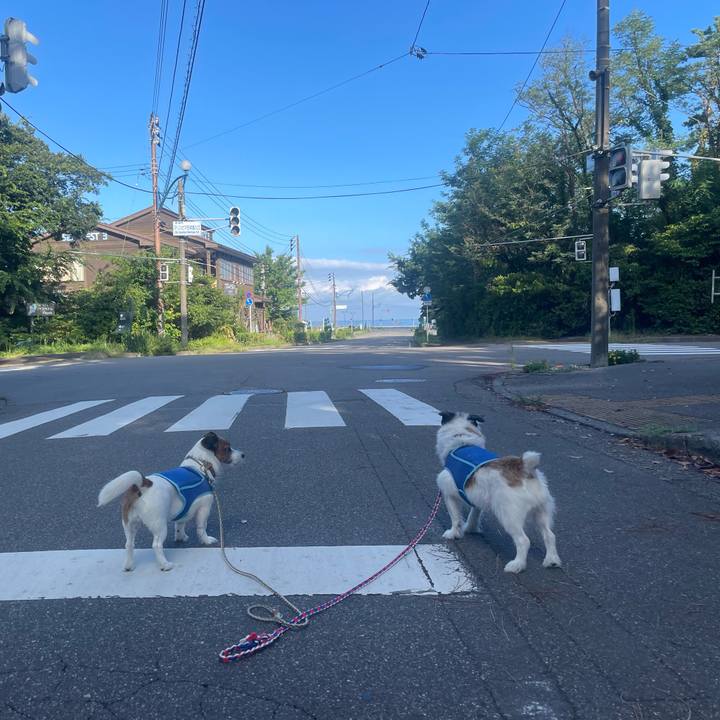 07dd18db 4509 449a 907e 3e9cd24ba572 1725146896502