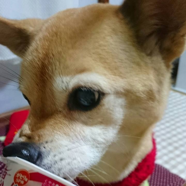 07dd2da1 a7eb 457f ab8b e59f8f708f3d 1544237758174