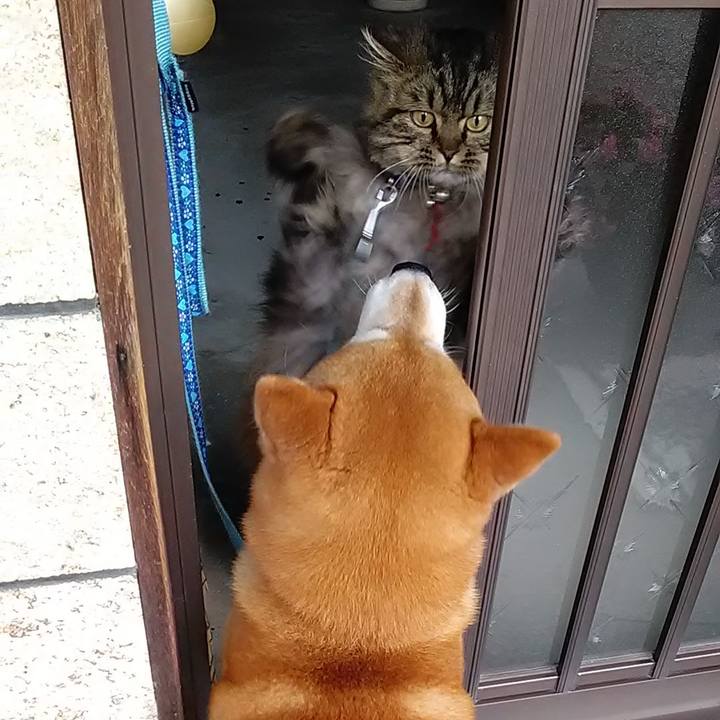 07dd3248 aaa6 479e 96d5 8da54c5cabcb 1623023992232