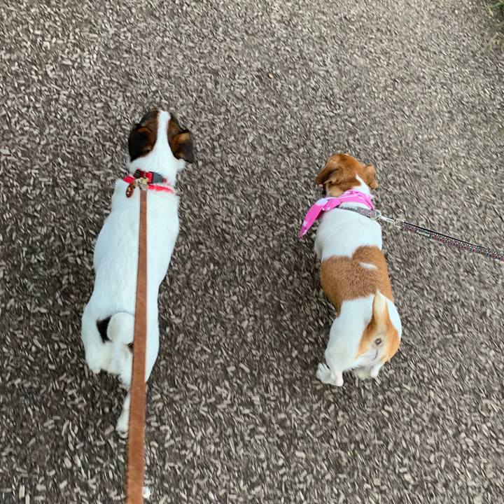 07dd6a1e edf4 4391 996d 28d1f0778fe4 1565603958621