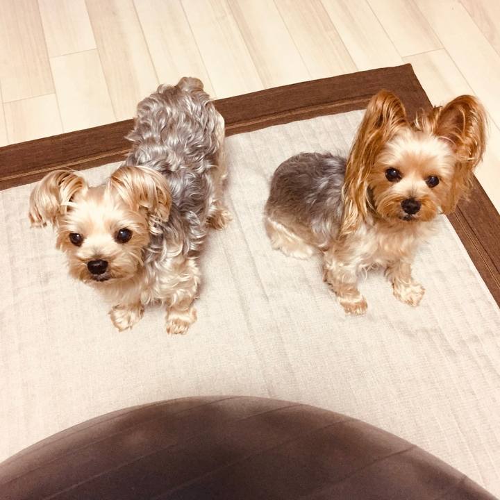 07ddaf41 34b5 4e6f 8552 52413c130c55 1539937336068