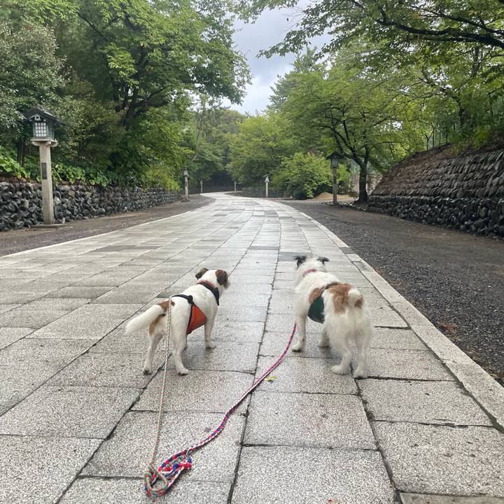 07de1ede a994 4279 a264 c8392896ea61 1726094038674