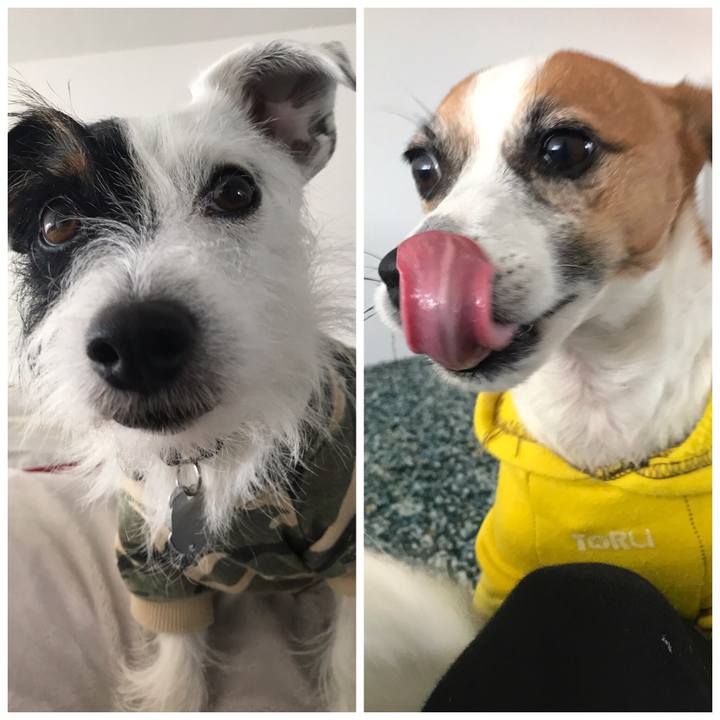 07de3ae4 0d32 4662 8e03 0021082e513f 1544586784465