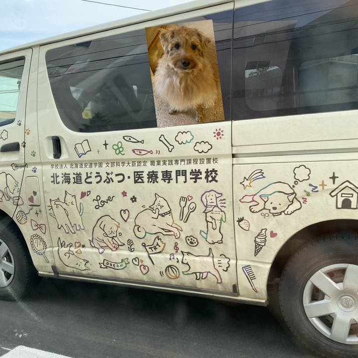 07de4f7e a9be 4c94 ab3b e5140c52fc1d 1639086577231