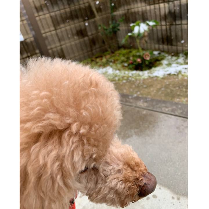 07de71c2 a75f 4c76 96c9 8e4cf9121560 1583361716886