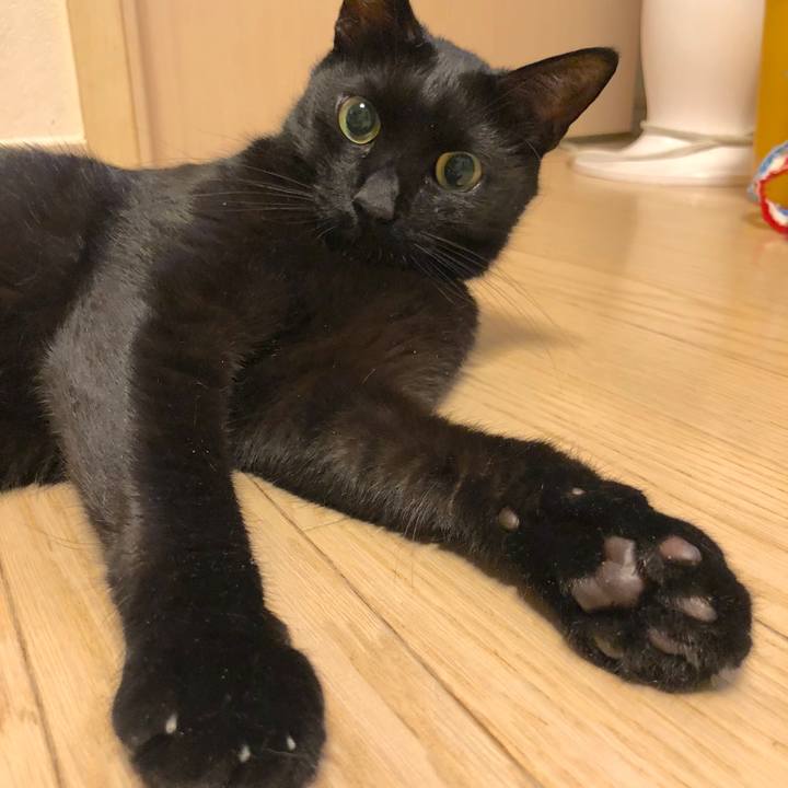 07deadf9 1fd2 42d5 86ea bb5596234087 1528125826203