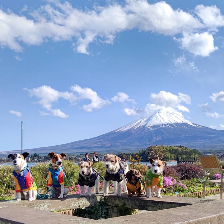 07dec80b 94d9 44f5 aa21 07faebc3f4b1 1618732527961