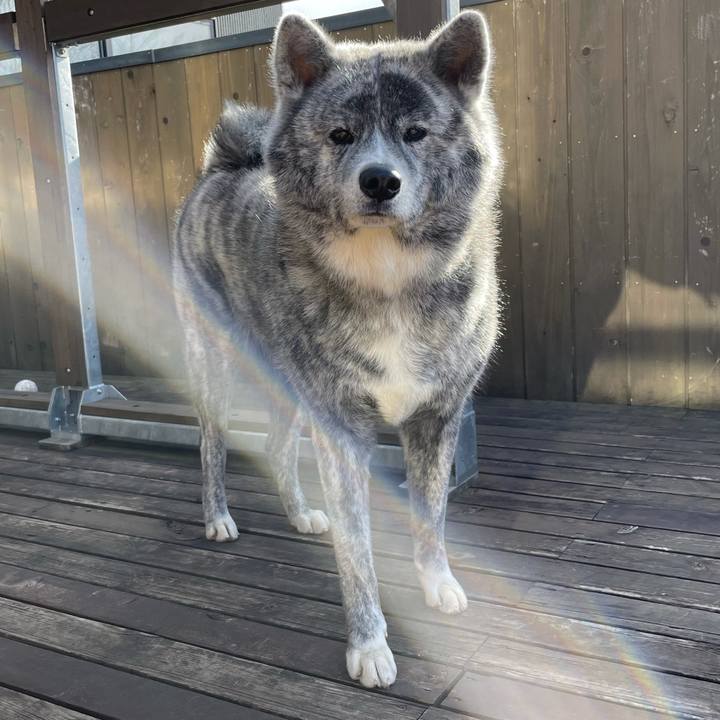 07dedf33 fd95 404e 83ee 9736557b1e6b 1608091849456