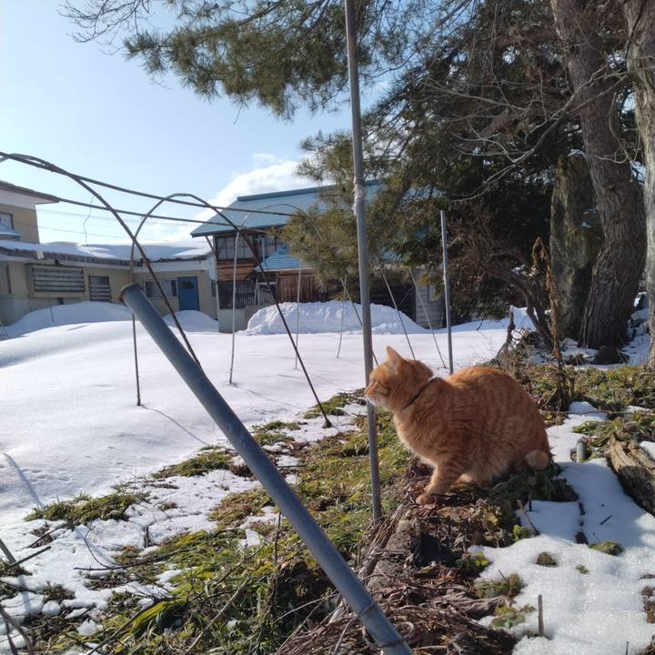 07df015c 7021 41de b738 98c3c2d35f04 1674452286157