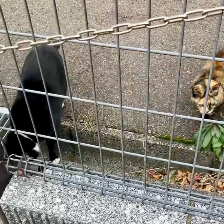 07df0cdd 355c 4f33 9a4d ea4c43eb6c6a 1738203114096