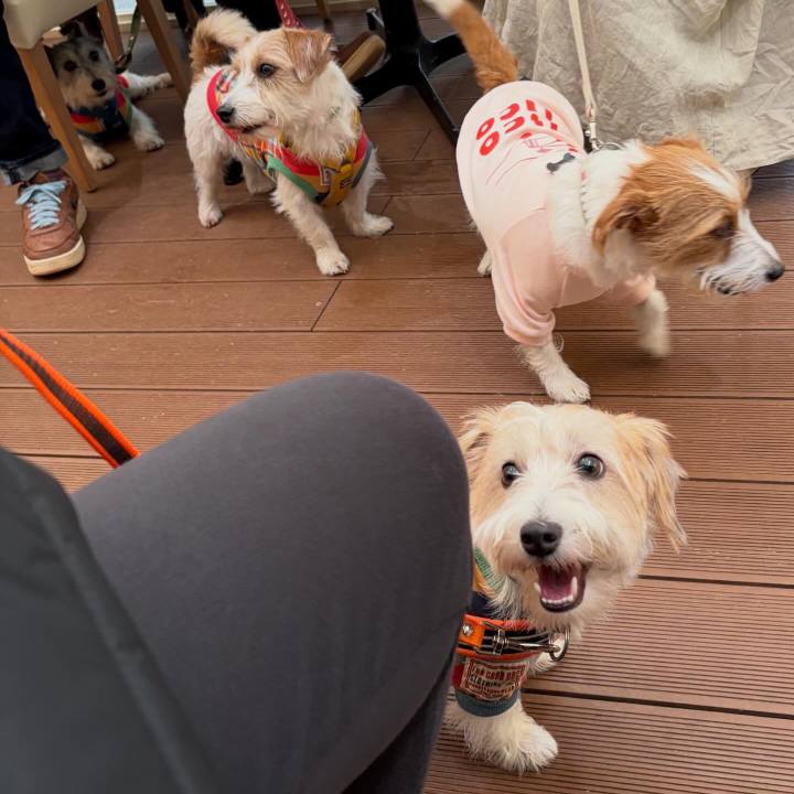 07df3365 ee32 47ff b674 56f44c5ba859 1762087331042