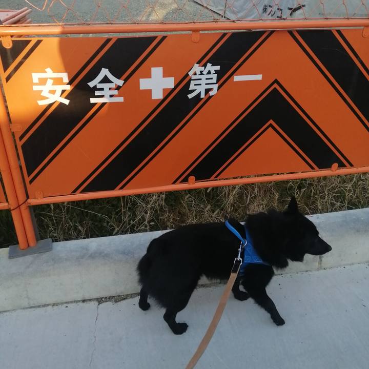 07df3d31 2f9c 483d a7e9 81800ab17ec2 1615328709135