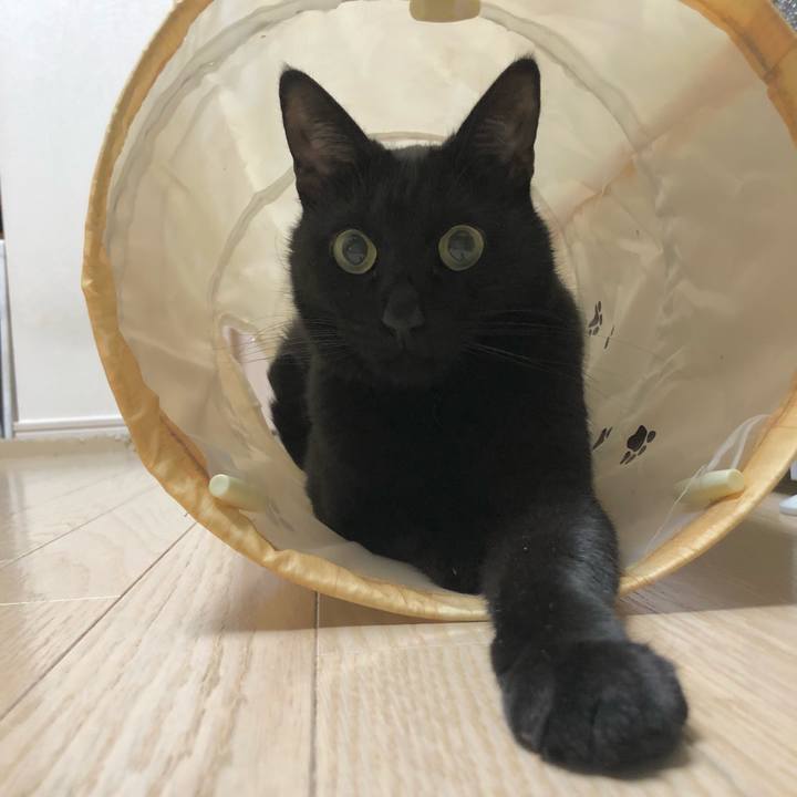 07df5c04 2072 482a 8d3a f1769b66a86e 1609235592365