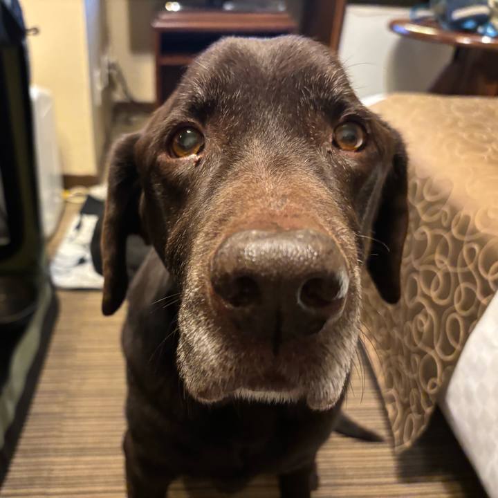 07df5e5e 8d4f 4293 8e07 2555cc397e09 1766408867144