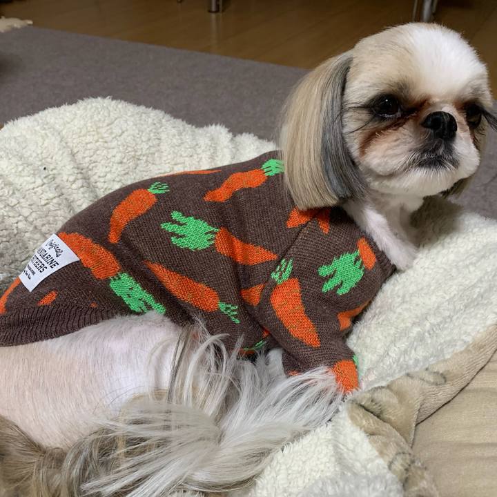 07dfa196 e97a 4cc8 9847 e3386da36a8b 1674354689973