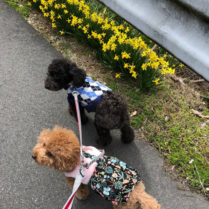 07dfbee2 d554 40aa a103 d1d0e0040d6b 1584335052710